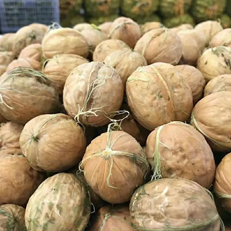 【成熟饱满】2025新鲜湿核桃薄皮纸皮核桃清香脆甜高山老树现摘现发