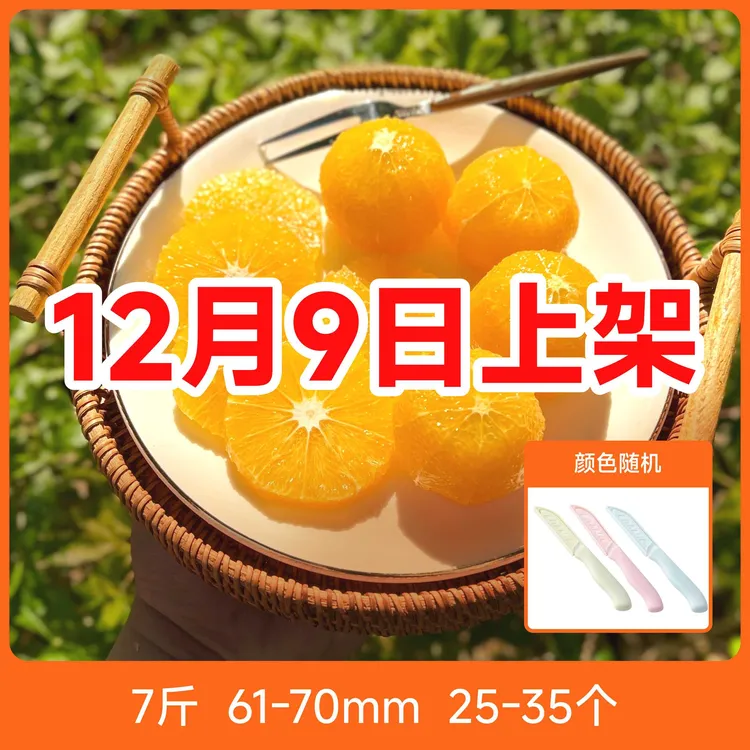 辰颐物语 麻阳冰糖橙