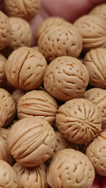 野生小桃核【圆月】 