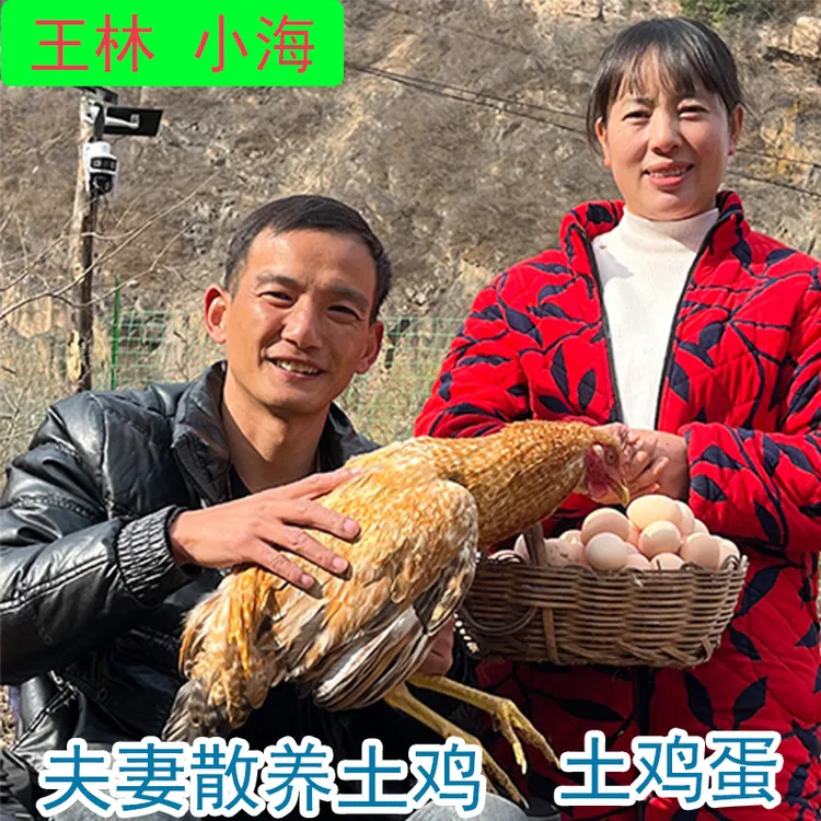 王林小海散养土鸡土鸡蛋农家正宗五谷杂粮笨鸡蛋包邮