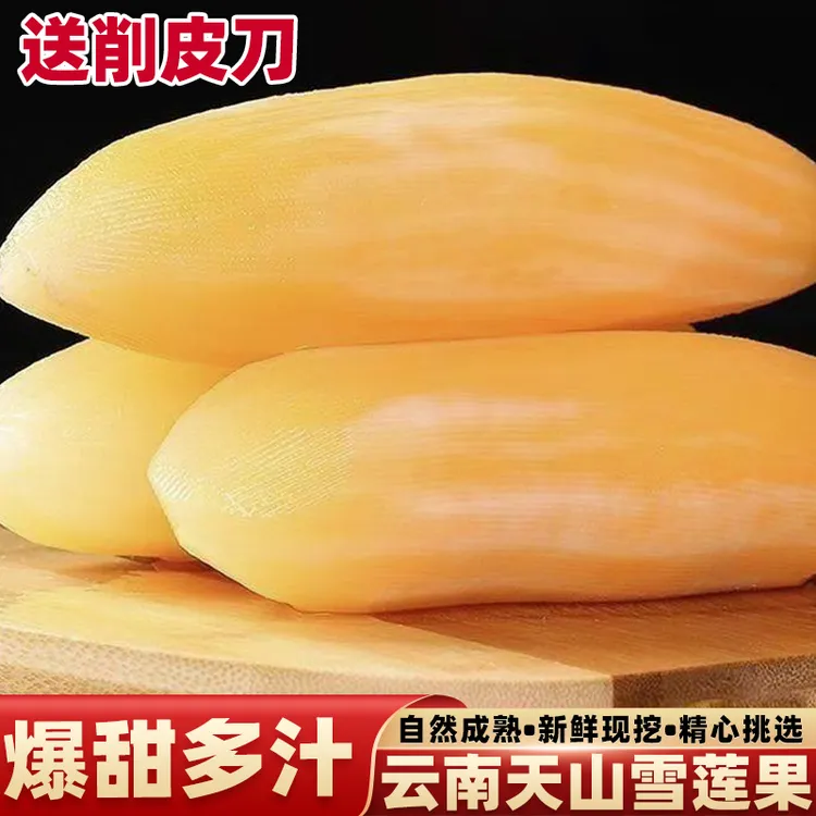 云南天山雪莲果新鲜水果正宗黄心当季现挖现发高原大果脆甜多汁