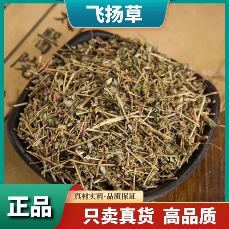 野生大飞扬草大乳汁草 节节花自然飞扬草新鲜晒干新货散装叶菜