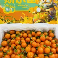 蜜灯笼小番茄2斤