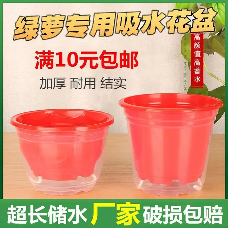 绿萝花盆自动吸水2023新款透明白色懒人塑料专用储水水培绿箩盆器