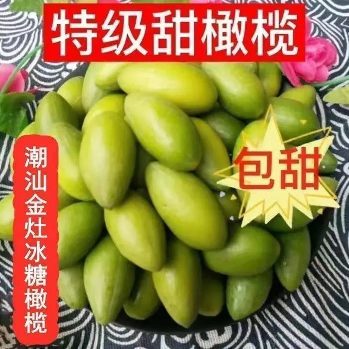 潮汕金灶新鲜现摘生青香种黄橄榄生吃甘香浓郁泡酒孕妇煲汤