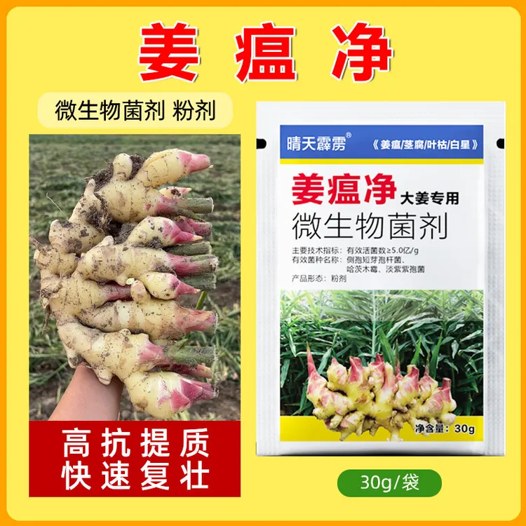 姜瘟净姜瘟专用姜瘟清生姜大姜黄姜干尖黄叶烂脖子茎基腐菌剂肥料