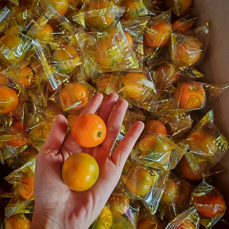 （顺丰包邮）当季现货广西融安脆皮金桔鲜果新鲜糖果袋金桔多汁