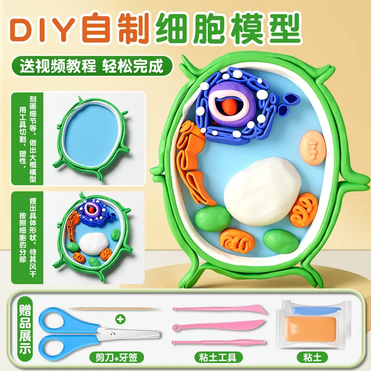 动植物细胞模型手工制作真核材料包七年级初一生物作业粘土自制