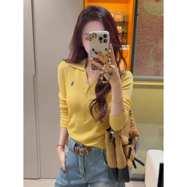 老钱风刺绣polo领打底针织衫女春秋新款独特修身显瘦内搭长袖上衣