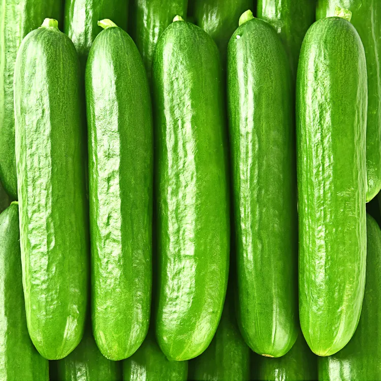 山东水果黄瓜现摘现发即食小黄瓜新鲜清脆爽口