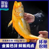 原条大黄花鱼500g/条*3 新鲜深海捕捞速冻大黄鱼肉多刺少鲜嫩美味