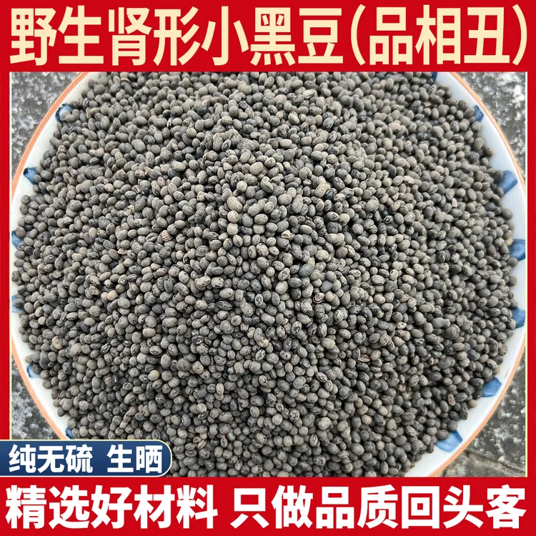 正宗纯野生肾型小黑豆 肾形小黑豆 新货药用黑豆