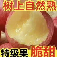 H2025年正宗红富士正宗红富士脆甜多汁农场直销