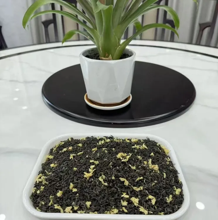 马阳茗茶2025茉莉花茶茉莉飘雪浓香型