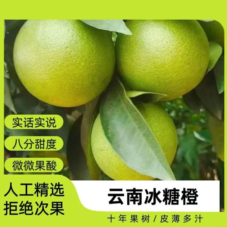 云南哀牢山青皮冰糖新鲜水果正宗榨汁好果来自高原应季孕妇果