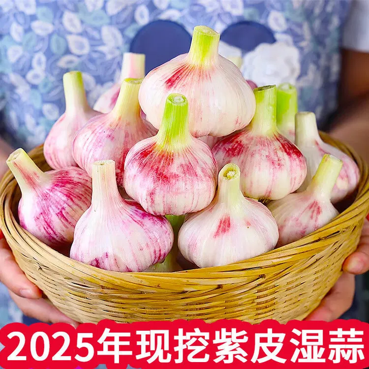 【福利】新鲜紫皮大蒜头分瓣蒜湿大蒜可腌制糖醋蒜腊八蒜1斤3斤5斤
