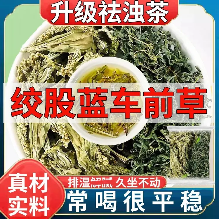 绞股蓝车前草茶叶官方正品车钱草和野生泡水喝的功效与作用祛浊茶