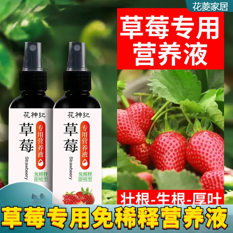 草莓营养液免稀释肥料专用肥营养液室内家用盆栽植物通用型液体肥