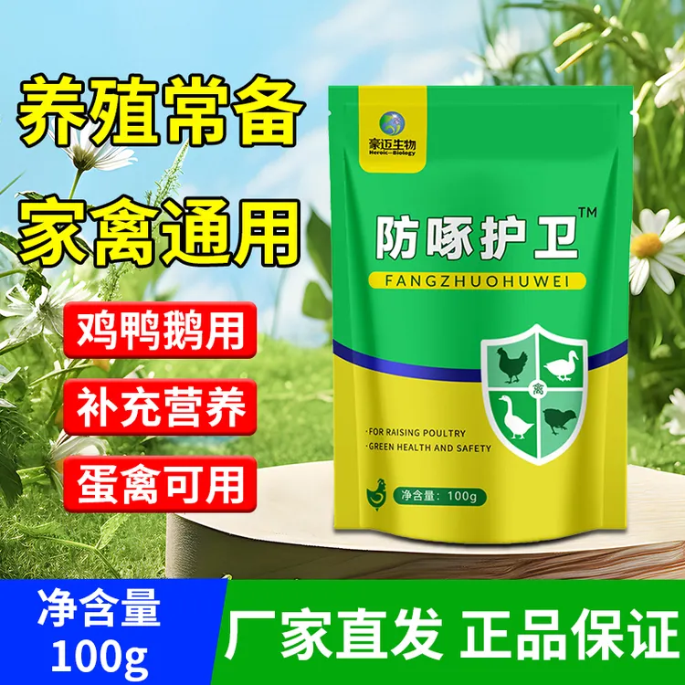 豪迈防啄护卫禽类小伙养殖必备鸽子啄羽啄蛋饲料添加剂抬头