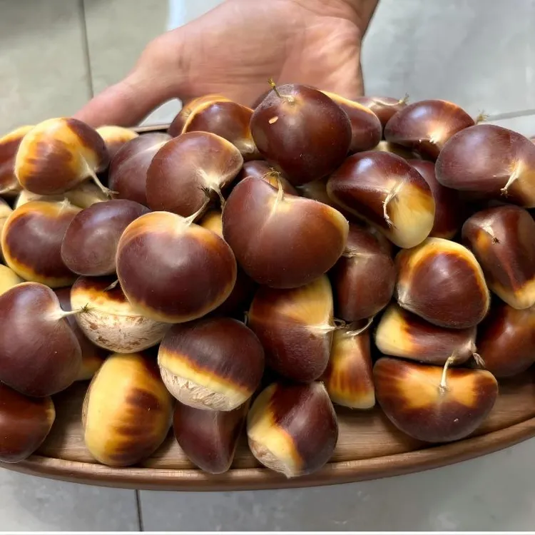 大别山花红壳板栗当季新鲜现摘现发礼盒装（顺丰发货）