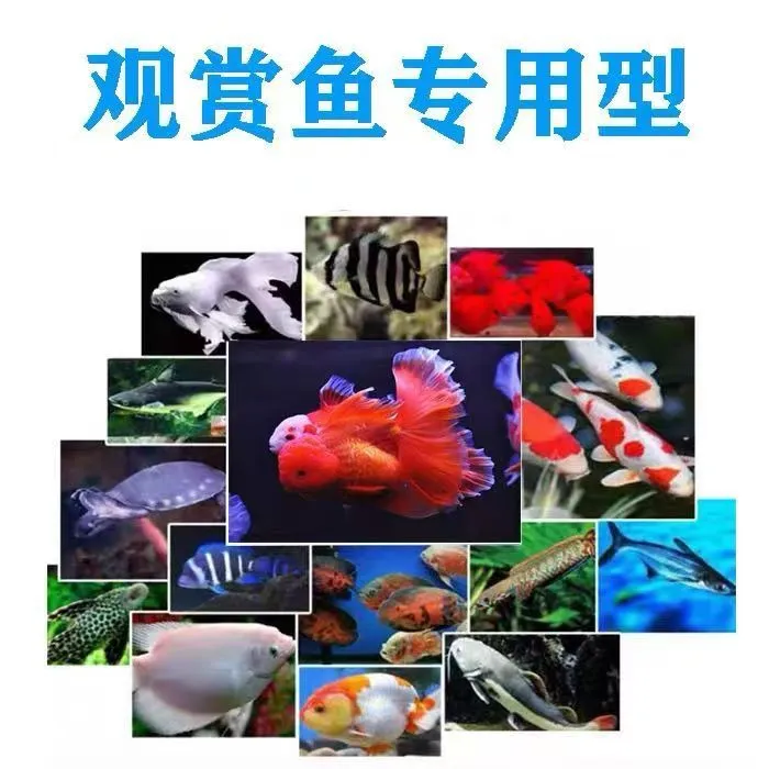 通威观赏鱼通用鱼用膨化饲料锦鲤兰寿泰狮斗鱼鲈鱼雷龙孔雀鱼饲料