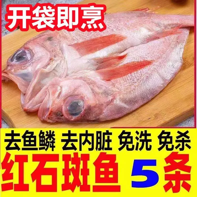 【发5斤到手5条】开背红石斑鱼免洗去脏深海石斑鱼大号