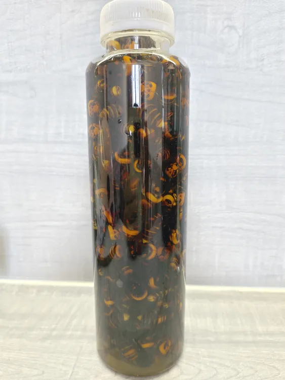 野生金环虎头蜂老蜂活泡