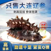 【新日期】新鲜大连海参非泡发无保水剂冷冻即食到手30根