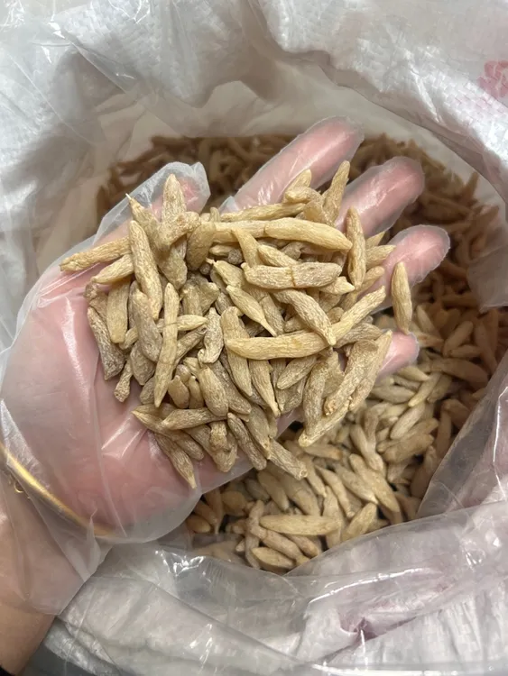 四川麦冬大粒麦冬 无添加自然晒干 煲汤煮水