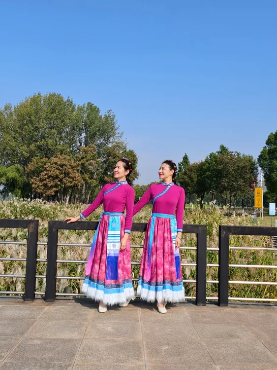 花与影老师【苍穹唤】同款藏族舞蹈服女广场舞表演服百搭上衣大摆裙