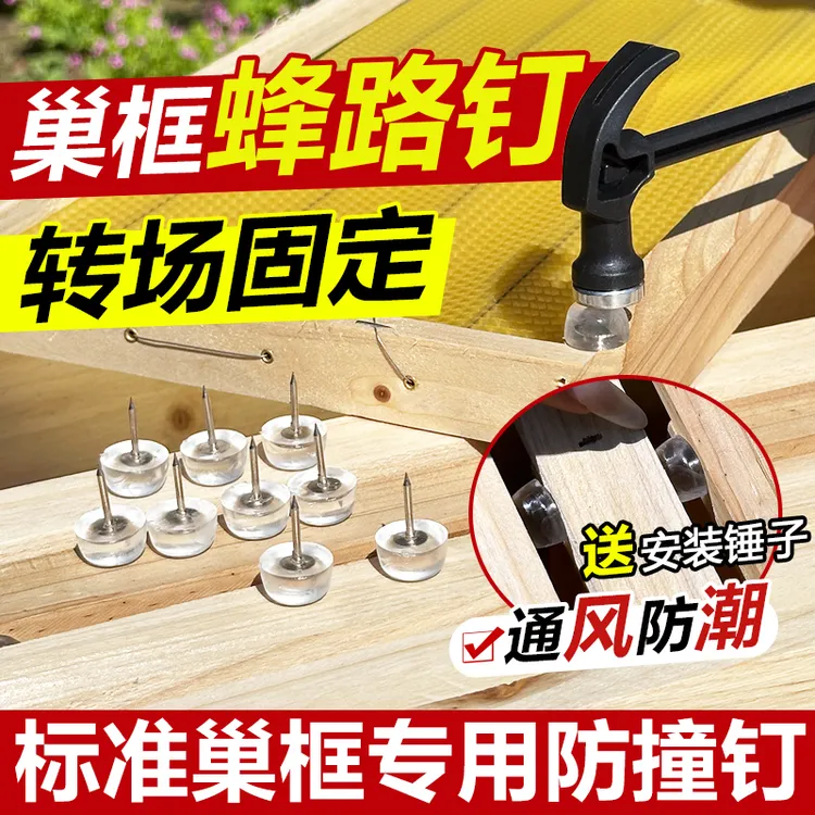 蜜蜂蜂路钉蜂箱转场巢框固定钉防撞钉中蜂巢脾间距隔板钉巢框钉