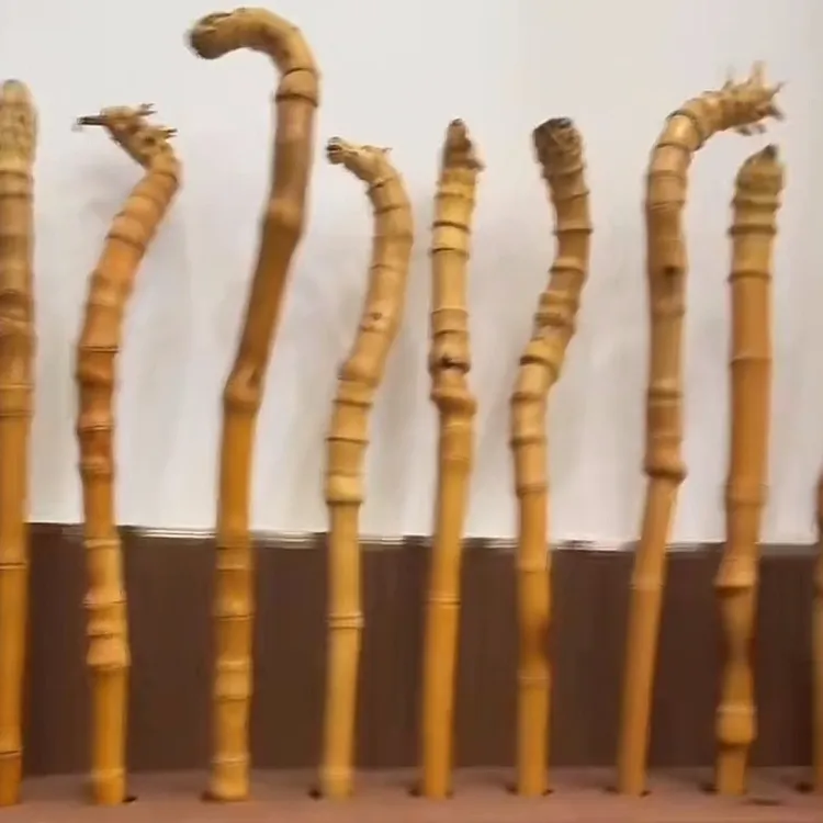 抚州正宗红心满密实心种