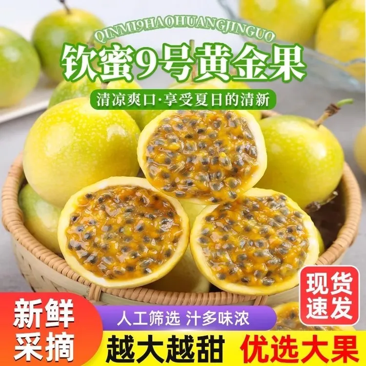 【个大皮薄】广西钦密九号黄金百香果香甜纯甜多汁口感产地直发