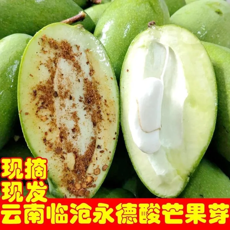 云南临沧酸脆芒果老品种新鲜水果生吃开胃孕妇特产水果芒果芽