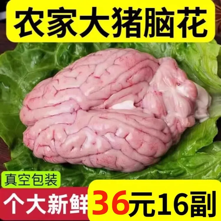 新鲜整副干净去血膜免处理猪脑花速冻大猪脑左脑右脑小脑火锅烧烤