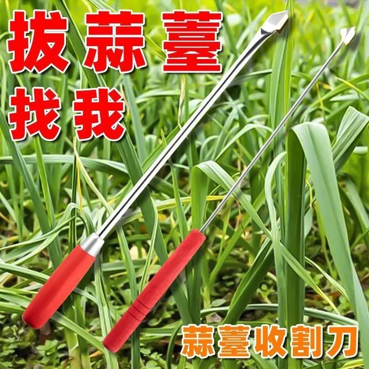【粉丝专属】蒜苔收割刀抽蒜苔神器蒜苔刀抽蒜苔摘蒜苗刮划拨剥提