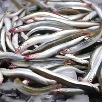 大号面条鱼 5包5斤小胖鱼 面条鱼 破肚 个头小 小海鱼 当季小鱼