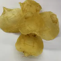 【翠凤】湛江赤嘴鱼胶（20头左右）深海鱼胶