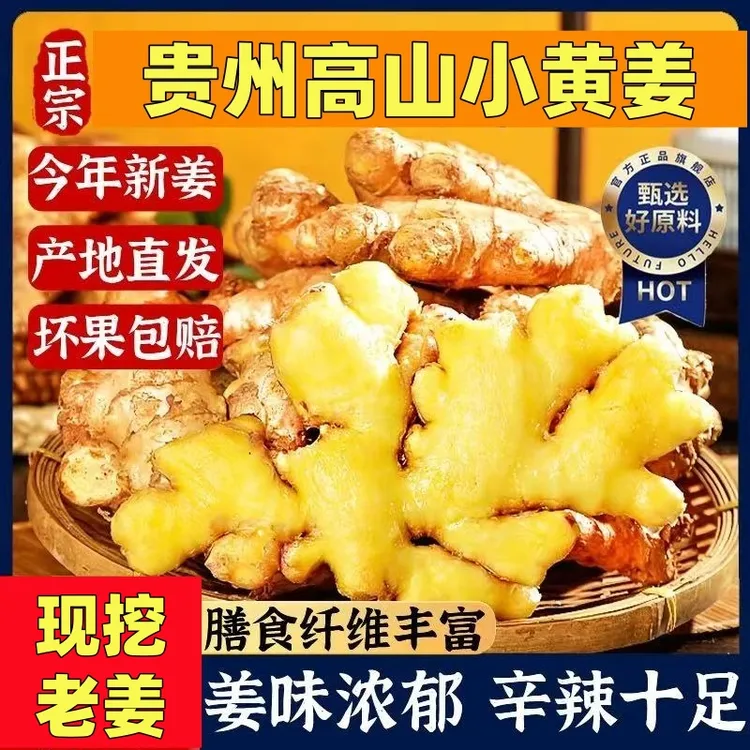 【现挖小黄姜】贵州正宗小黄姜新鲜小黄姜土姜生姜今年老姜