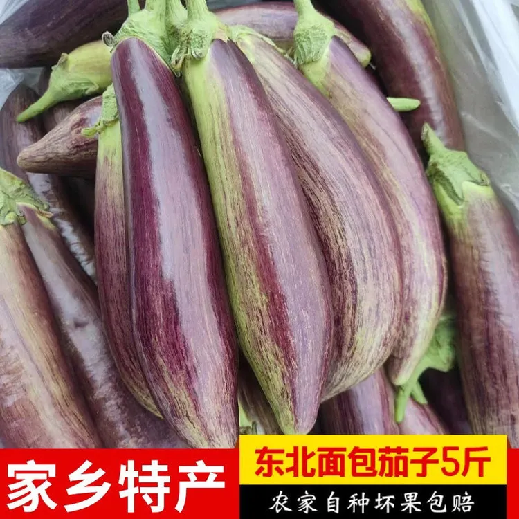 东北面包茄子花茄子5斤现摘现发农家自种新鲜青菜