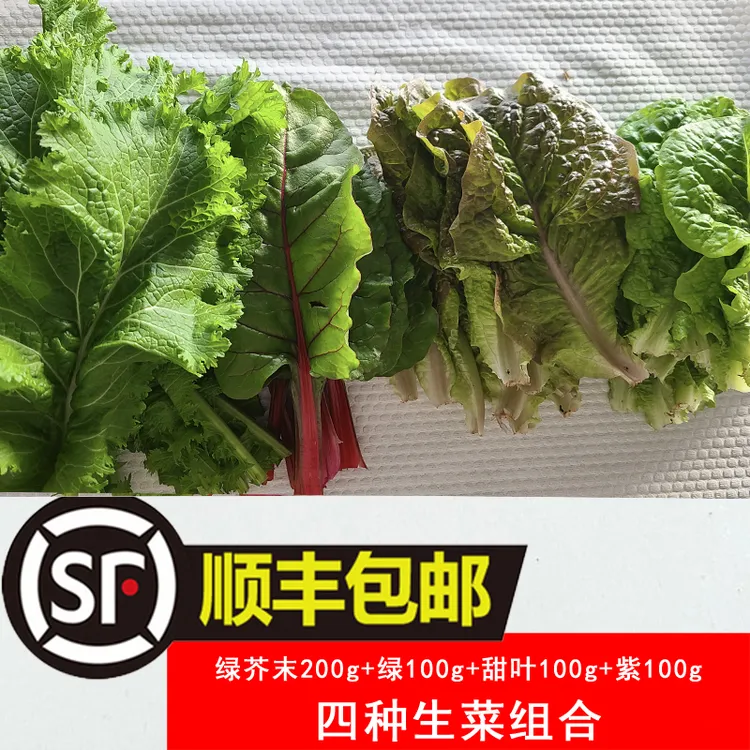 【顺丰包邮】韩式生菜绿芥末组合韩国烤肉包饭蘸酱烤肉店用新鲜