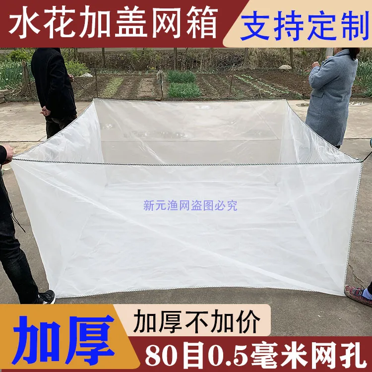 80目0.5mm泥鳅黄鳝小苗养殖加盖网箱 蚂蚱昆虫防逃网箱鱼苗网箱