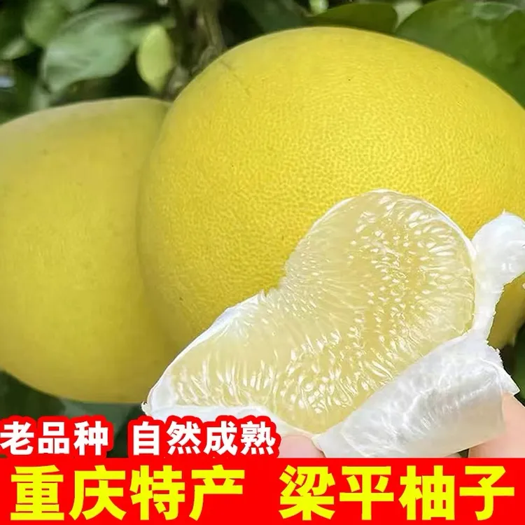 梁平柚子重庆特产麻柚子梁平柚平顶白肉蜜柚当季时令新鲜水果香甜