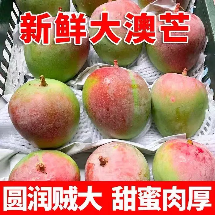 【现摘】新鲜澳芒苹果芒当季水果软糯香甜生吃青芒果新鲜大芒果商品图