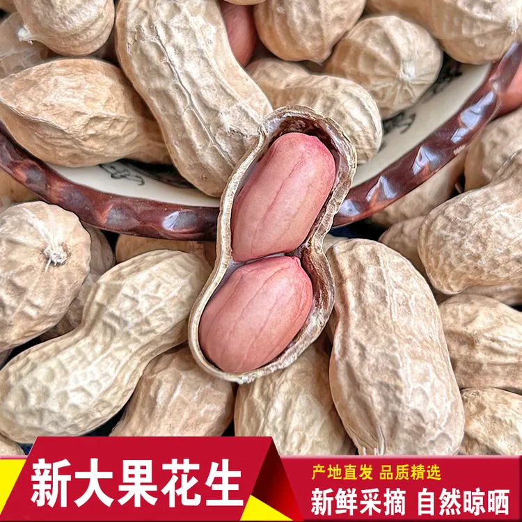 2025年新晒带壳生花生可做种子原味白沙大花生带泥鲜花生农家种植