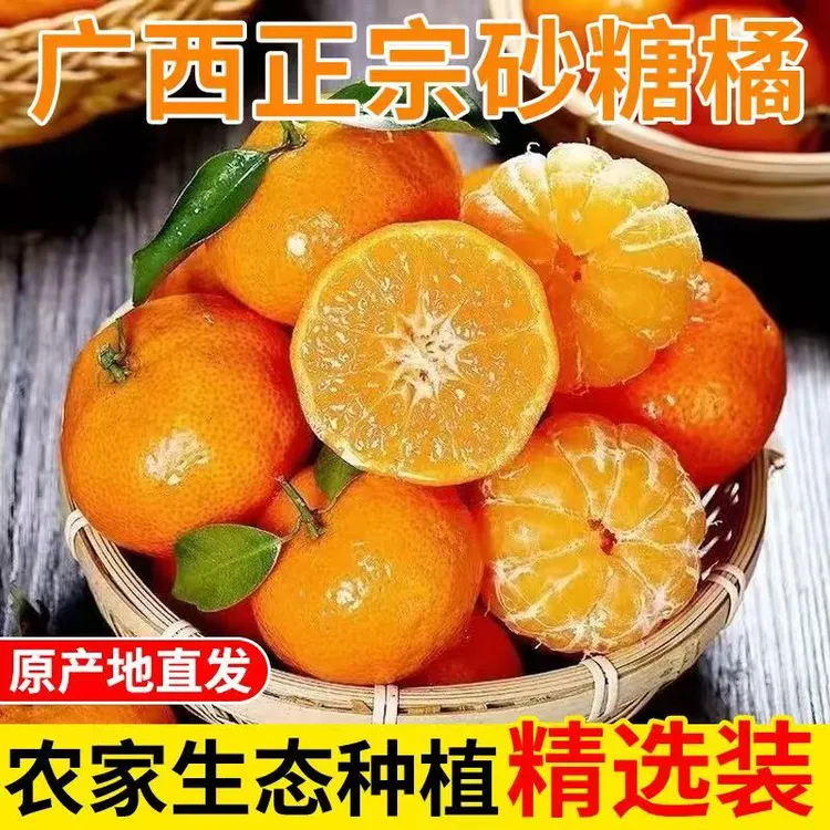 现摘广西桂林蜜广砂糖橘棉橘臭皮柑小橘子皮薄多汁不打腊