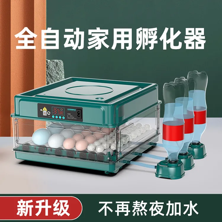 博实孵化器全自动家用鸡鸭鹅鸽孵化箱芦丁鸡孵化器自动补水孵蛋器