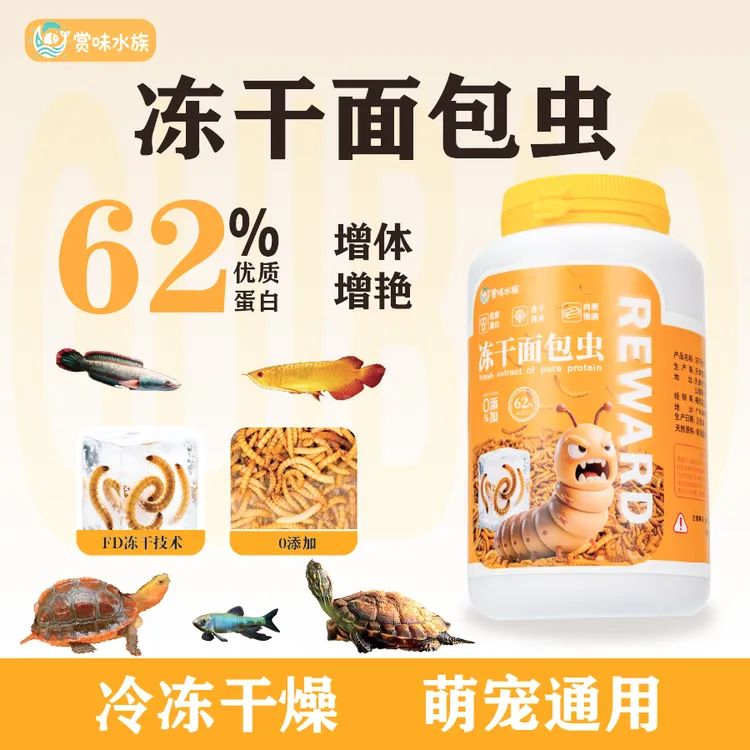 【冻干面包虫】乌龟金龙雷龙罗汉鱼鹦鹉八哥鸟仓鼠通用饲料龟粮鱼粮