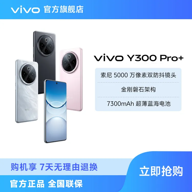 vivo Y300 Pro+ 智能手机 7300mAh超薄蓝海电池 DR