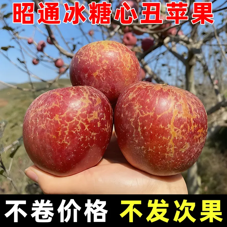正宗云南昭通市冰糖心丑苹果2025新鲜当季应季水果红富士基地直销